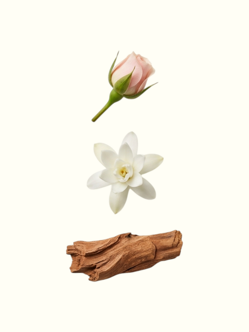 A clean beige graphic titled 'Culture' with French text 'Extrait de Parfum' and a list of fragrance notes: TOP Rose Leaf, Jasmine Sambac, Rose; MIDDLE Champaka, Jasmine, Auriculatum, Tuberose, Brahmakamel, Patchouli; BASE Sandalwood, Cedarwood, Musk, Amber, Pink Lotus Absolute, Tobacco Leaf. Decorative elements include a pink rose bud, a white flower, and brown bark on the left.