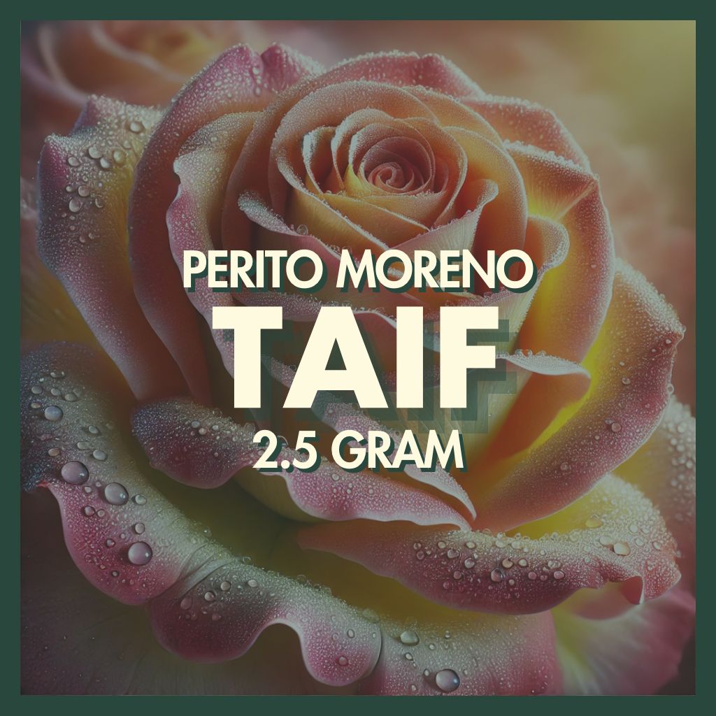 Taif by Artisan Dixit