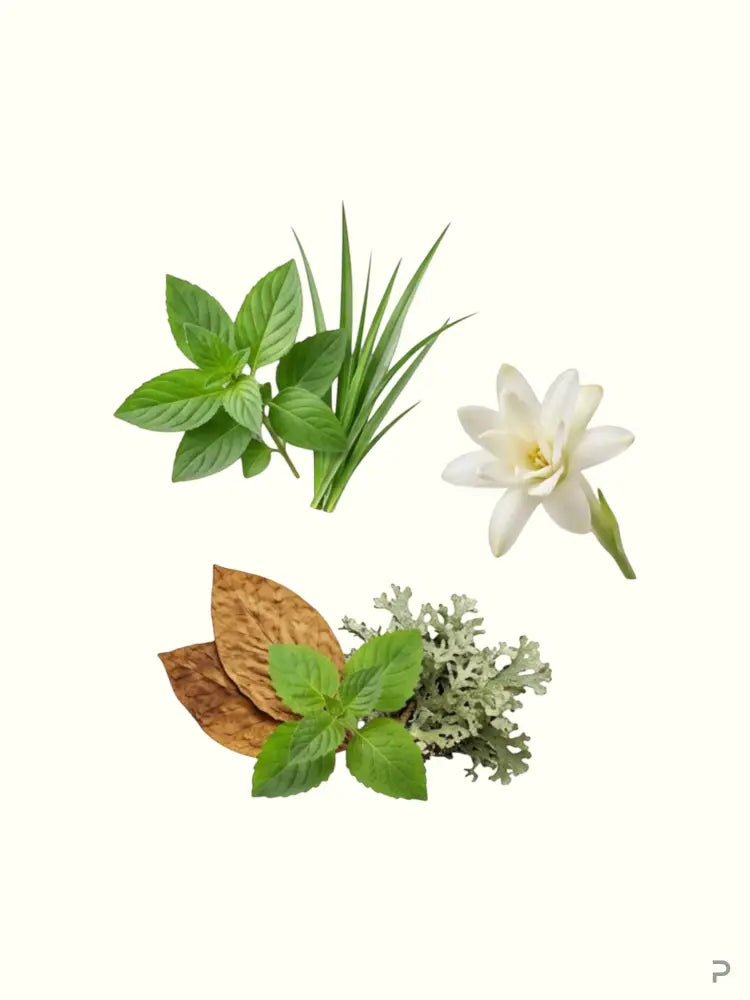 PERFUME BAY Fougère Tabac fragrance ingredients featuring green leaves, white tuberose, tobacco leaves, and oakmoss.