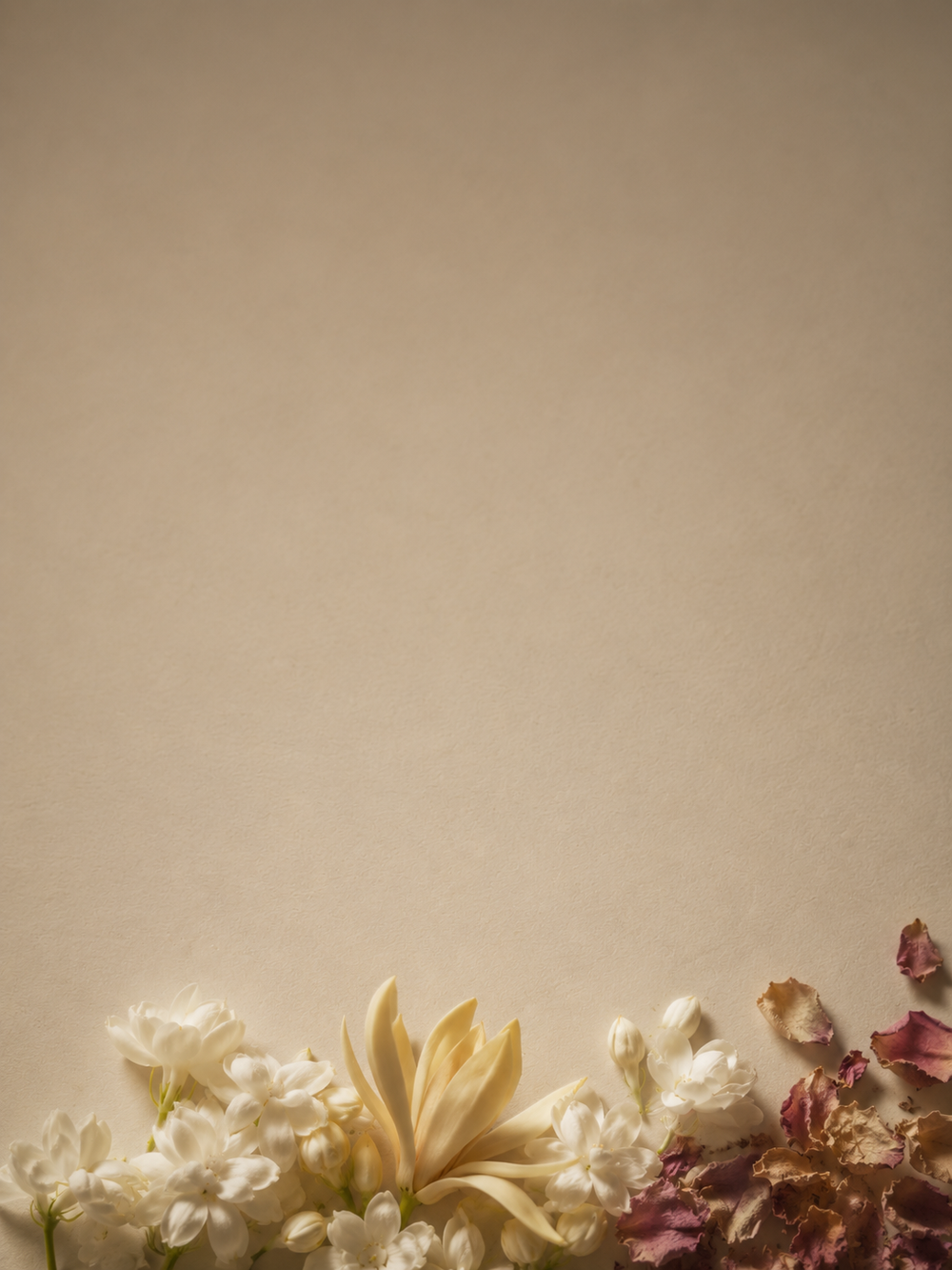 Six flowers, captured wholeMogra, Champaca, Rajnigandha, South Rose, Jai and Jui — single-flower absolutes drawn from one bloom rather than blended into a bouquet. Potent enough that a drop is the dose.