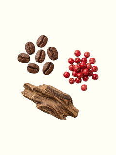 PERFUME BAY Musky Brew fragrance ingredients featuring roasted coffee beans, pink peppercorns, and raw dark wood.