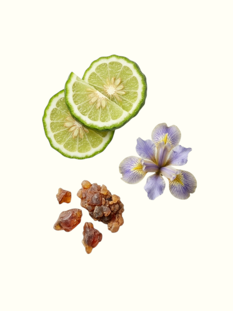 La Regina Attar fragrance profile graphic on a light cream background, featuring lime slices, a purple iris flower, amber resin pieces, and text listing top, middle, and base notes including Bergamot, Orris Butter, Iris Absolute, White Florals, Jasmine Attar, White Musk, Myrrh, and Amber.