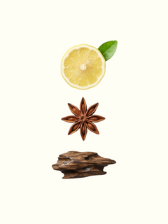 A perfume notes graphic for 'Regal Silhouette' Eau de Parfum. The left side features illustrations of the key ingredients: a fresh yellow lemon slice, star anise, and cinnamon sticks.
