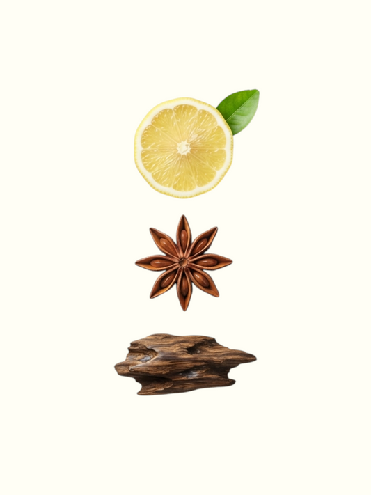 A perfume notes graphic for 'Regal Silhouette' Eau de Parfum. The left side features illustrations of the key ingredients: a fresh yellow lemon slice, star anise, and cinnamon sticks.