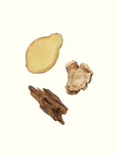 A clean product information graphic for Silver Coast Eaux de Parfum. The left side shows three natural ingredients: a sliced ginger root, a dried cardamom pod, and a piece of carrot seed.