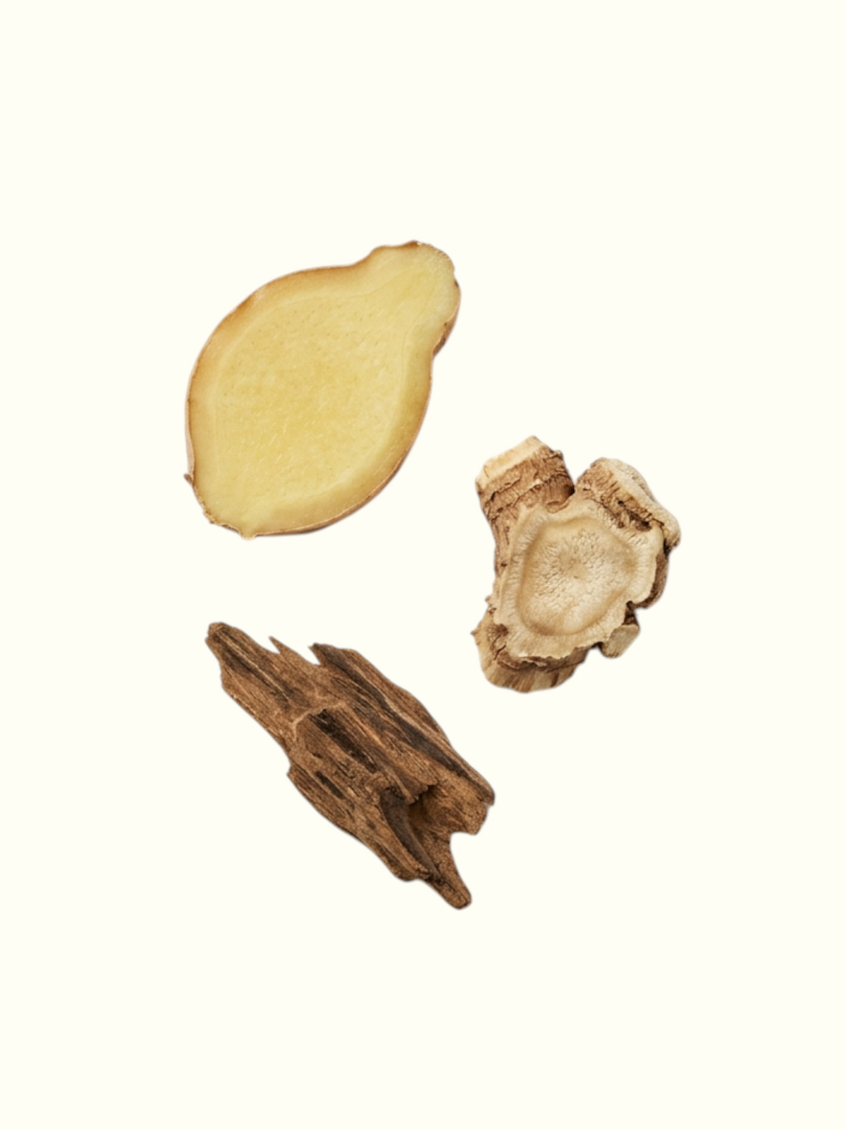 A clean product information graphic for Silver Coast Eaux de Parfum. The left side shows three natural ingredients: a sliced ginger root, a dried cardamom pod, and a piece of carrot seed.