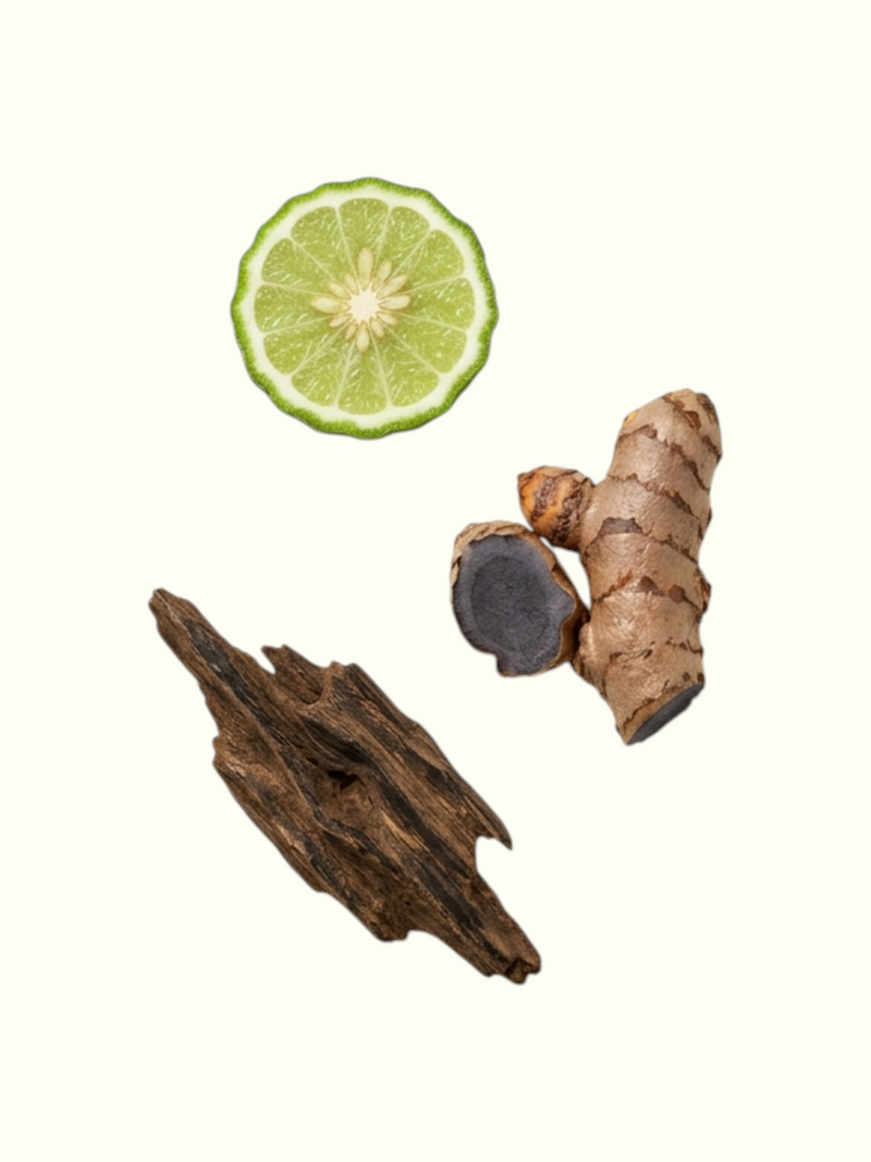 Thumri Extrait de Parfum fragrance profile graphic on a light cream background, featuring a lime slice, turmeric root, and dried bark on the left, with listed notes and fragrance notes on the right.