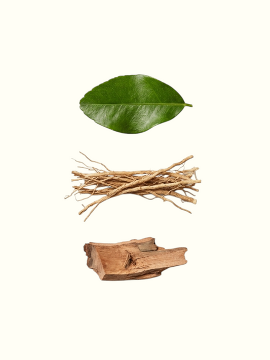 A fragrance ingredients graphic for Vetiver Mystique Eau de Parfum, showing a green leaf, brown root pieces, and a bark piece above a list of top, middle, and base notes on a white background.
