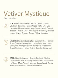 A fragrance ingredients graphic for Vetiver Mystique Eau de Parfum, showing a green leaf, brown root pieces, and a bark piece above a list of top, middle, and base notes on a white background.