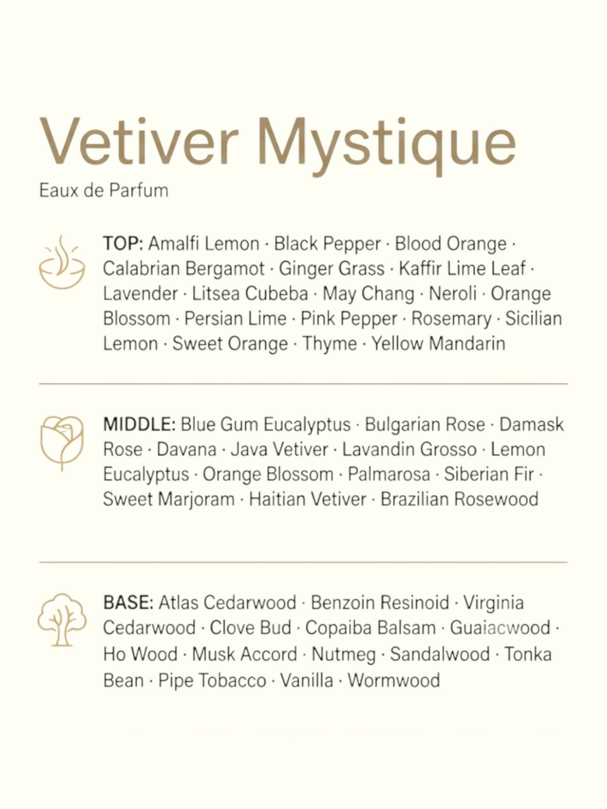 A fragrance ingredients graphic for Vetiver Mystique Eau de Parfum, showing a green leaf, brown root pieces, and a bark piece above a list of top, middle, and base notes on a white background.