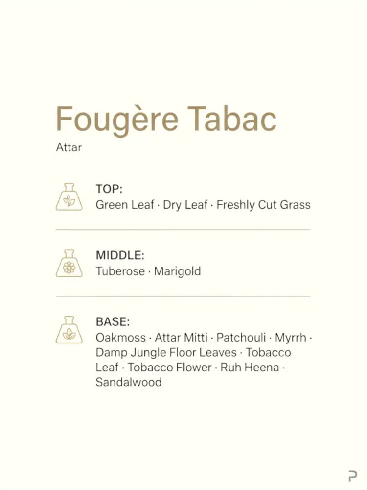 An informational graphic for Fougère Tabac (Attar) showing botanical ingredients on the left and a scent profile list on the right, set against a warm cream background.