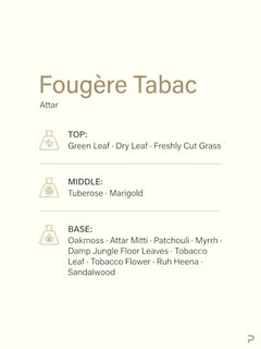 An informational graphic for Fougère Tabac (Attar) showing botanical ingredients on the left and a scent profile list on the right, set against a warm cream background.